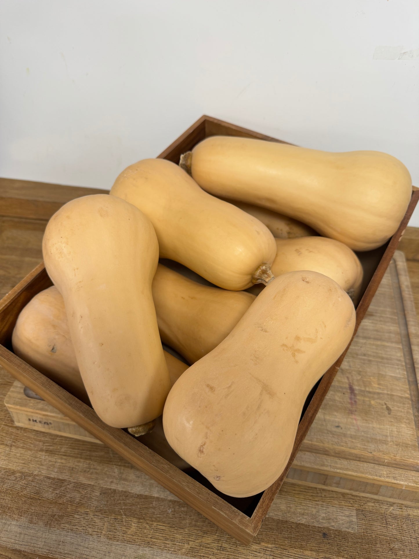 Butternut Squash Individual