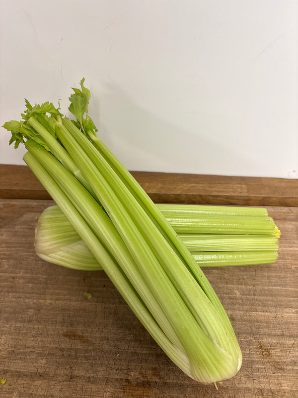 Celery