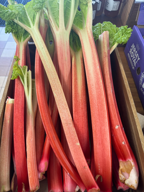 Rhubarb