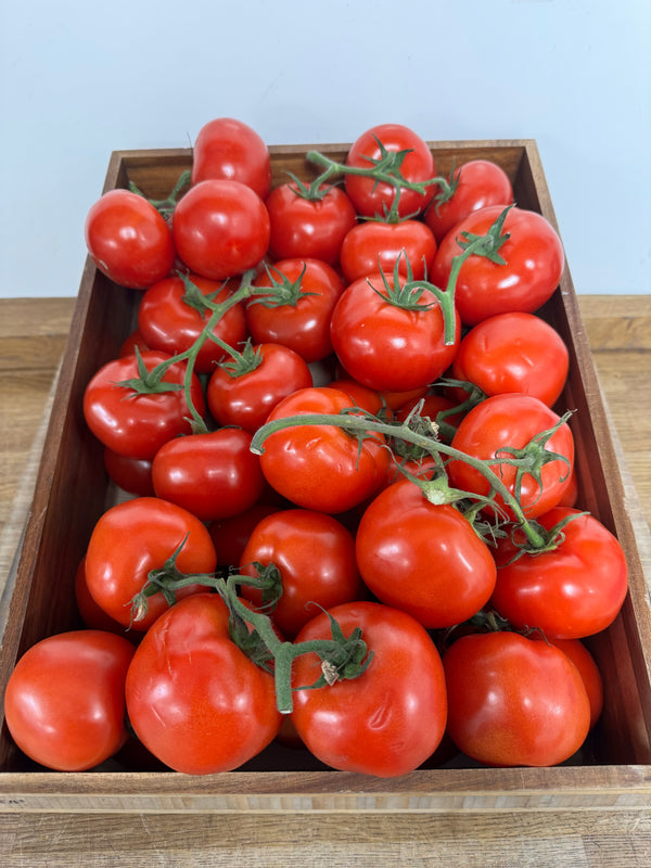 Vine Tomatoes