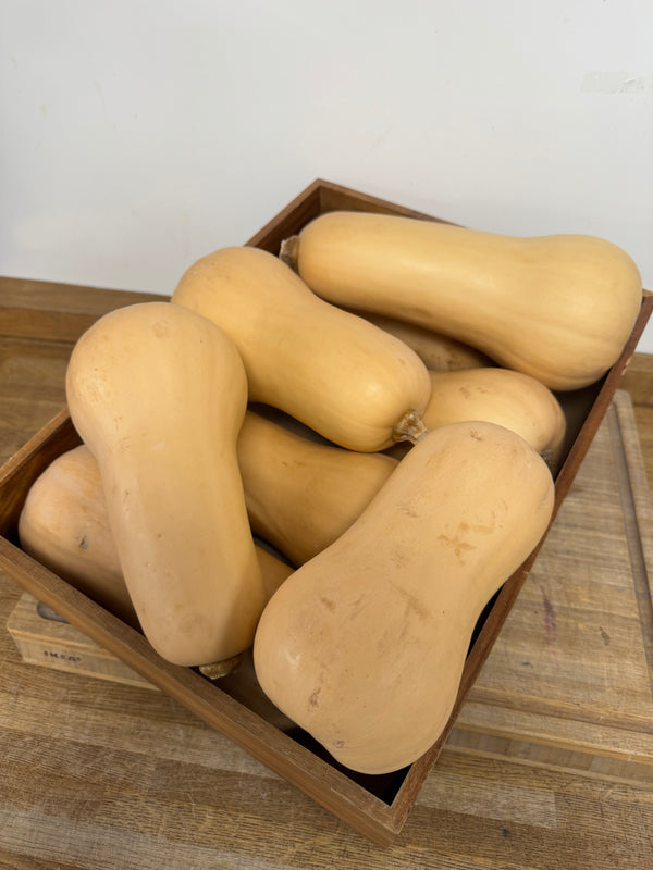 Butternut Squash Individual