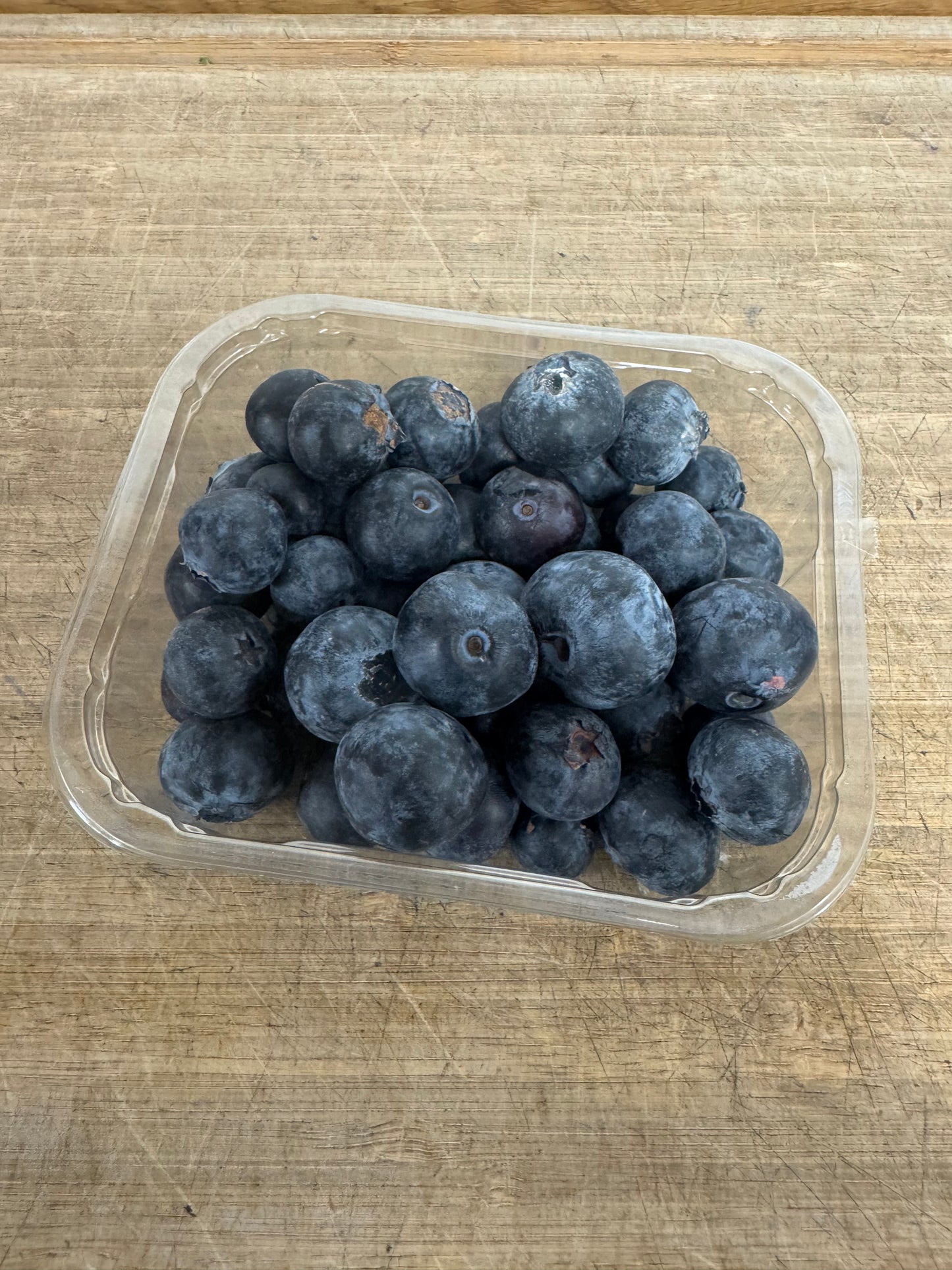 Blueberry Punnet