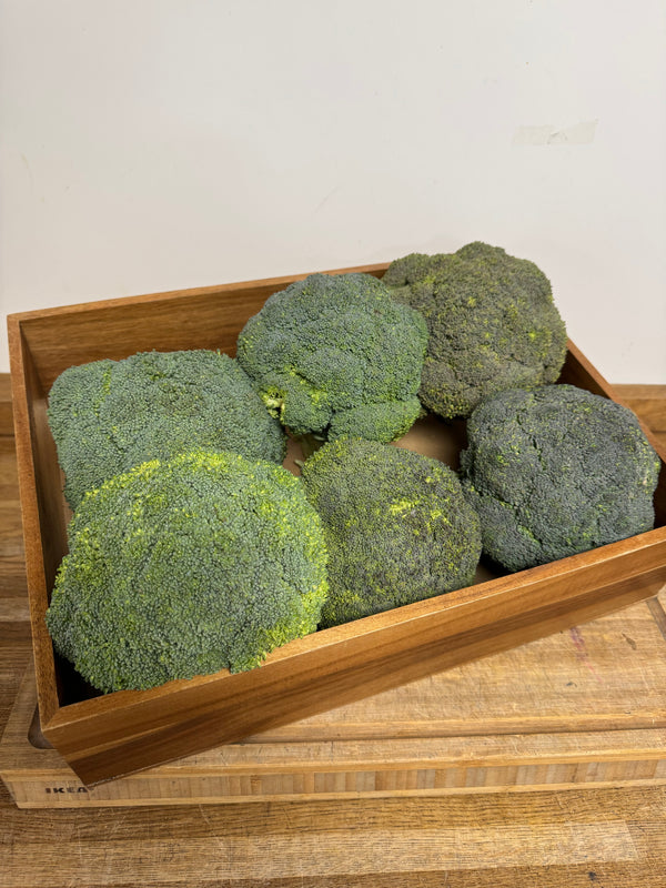 Broccoli