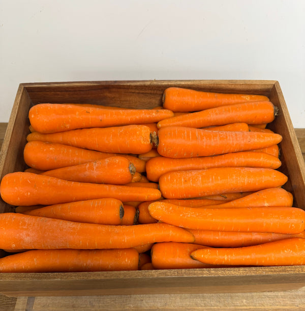 carrot