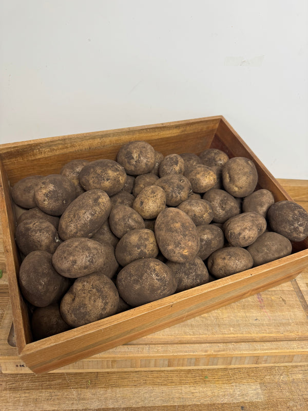 Maris Piper Potatoes