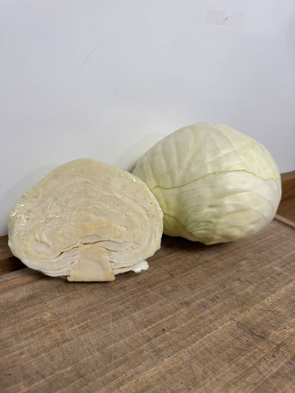 White Cabbage