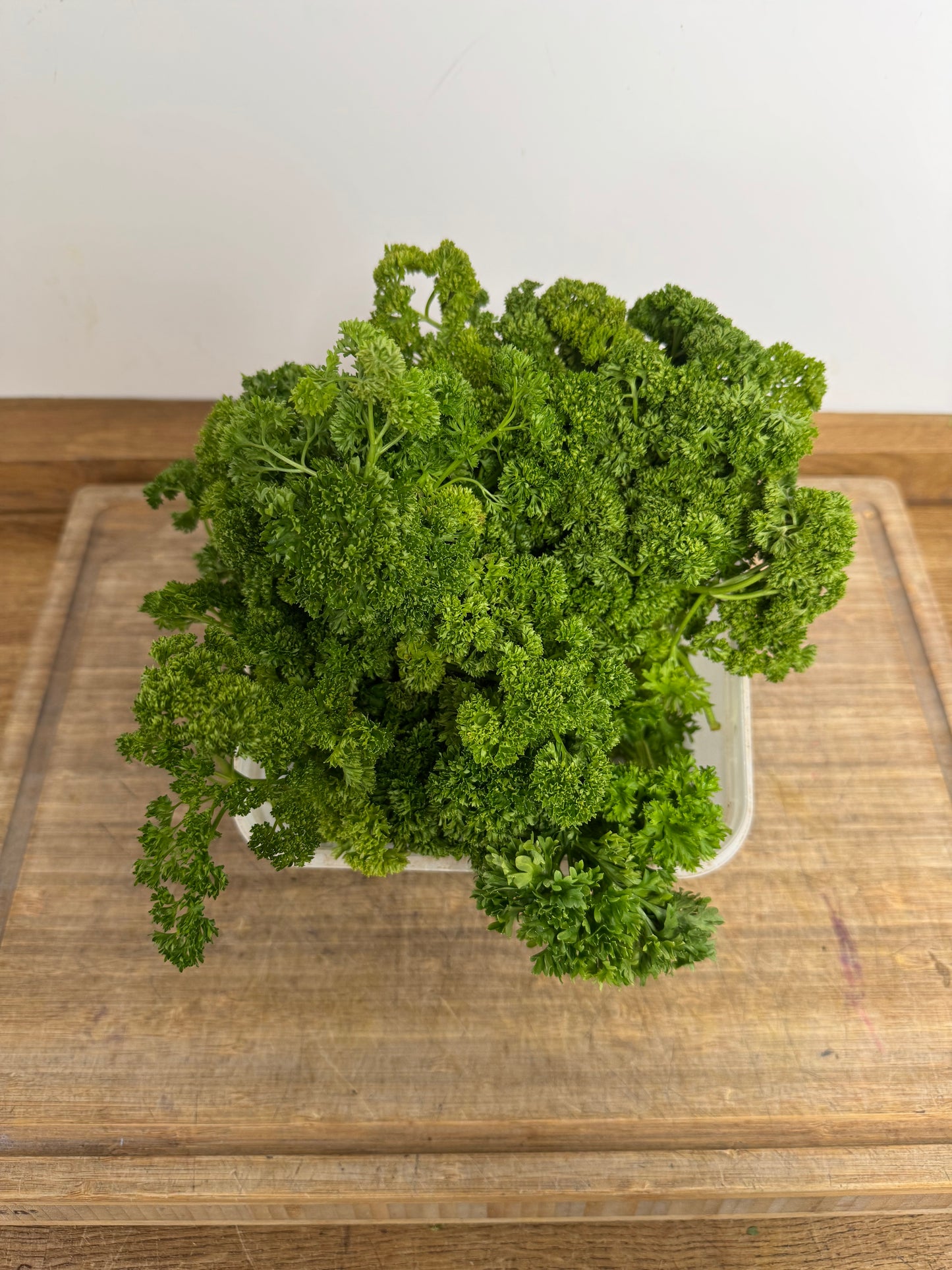 bunch curly parsley