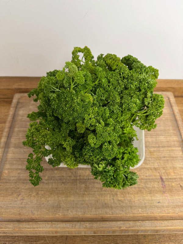 bunch curly parsley