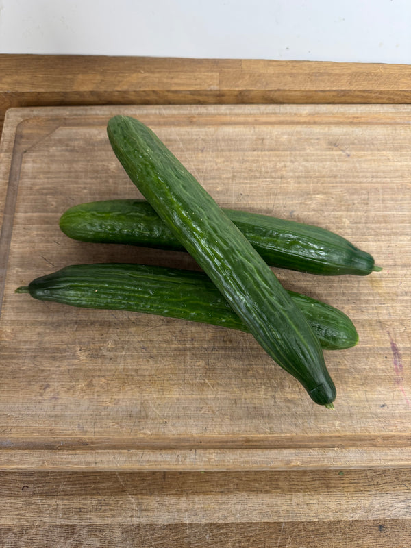 Cucumber