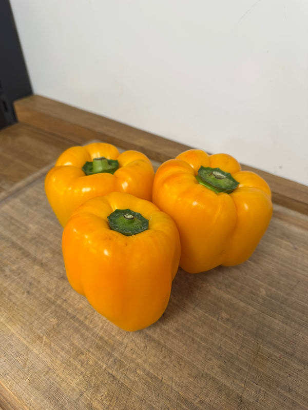 Yellow Pepper