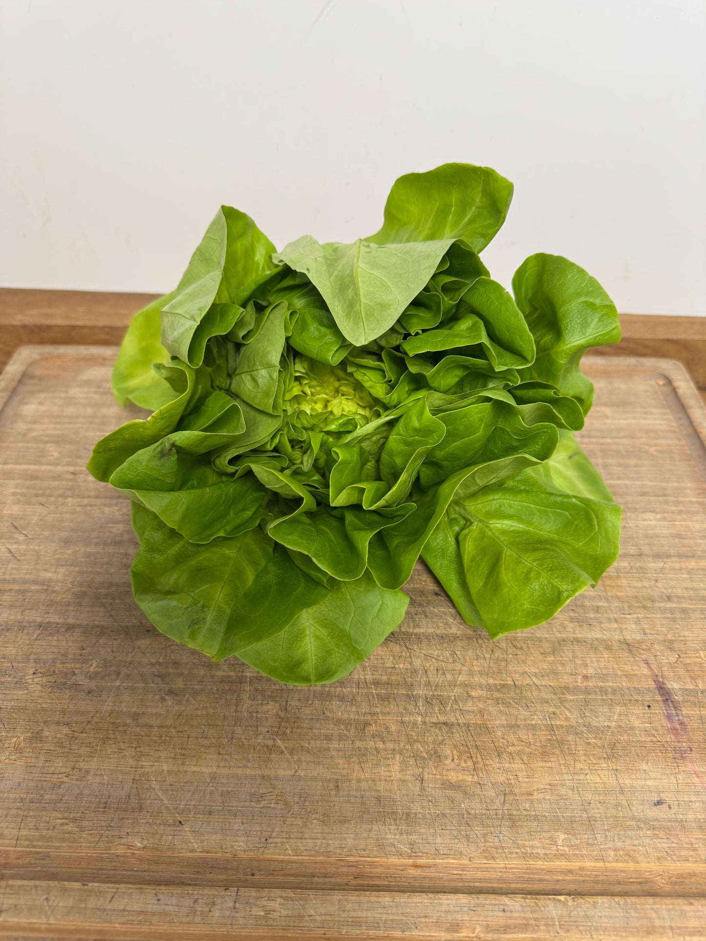 Round Lettuce