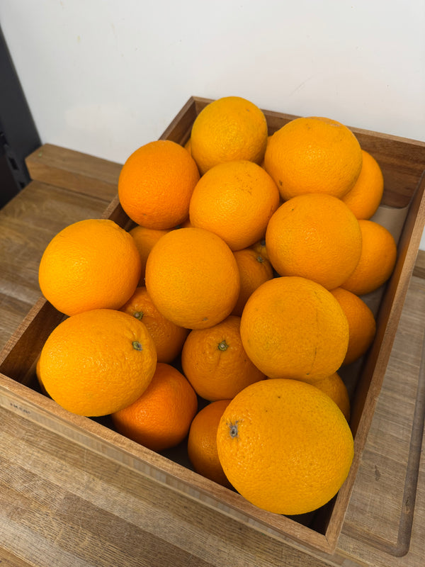 Orange Lrg