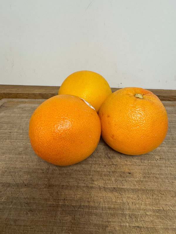 Grapefruit Red