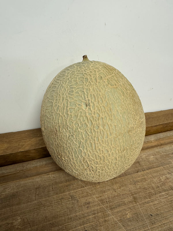 Cantaloupe Melon