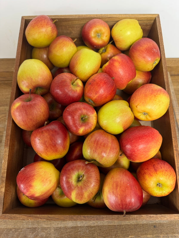 Braeburn Apples