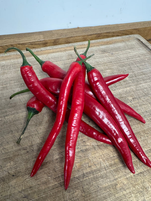 RED CHILLI