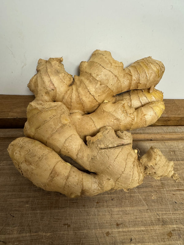 Root ginger