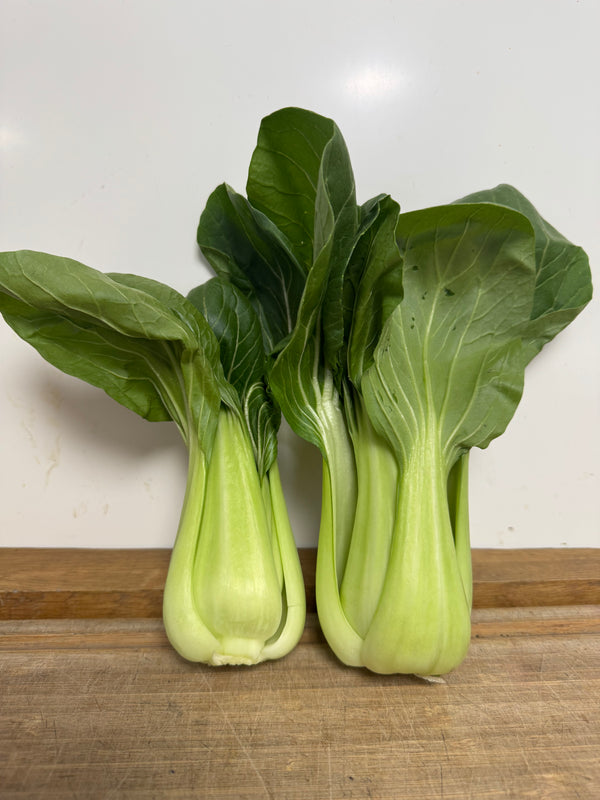 Pak Choi