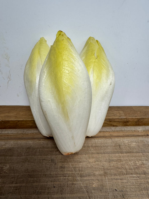 Chicory