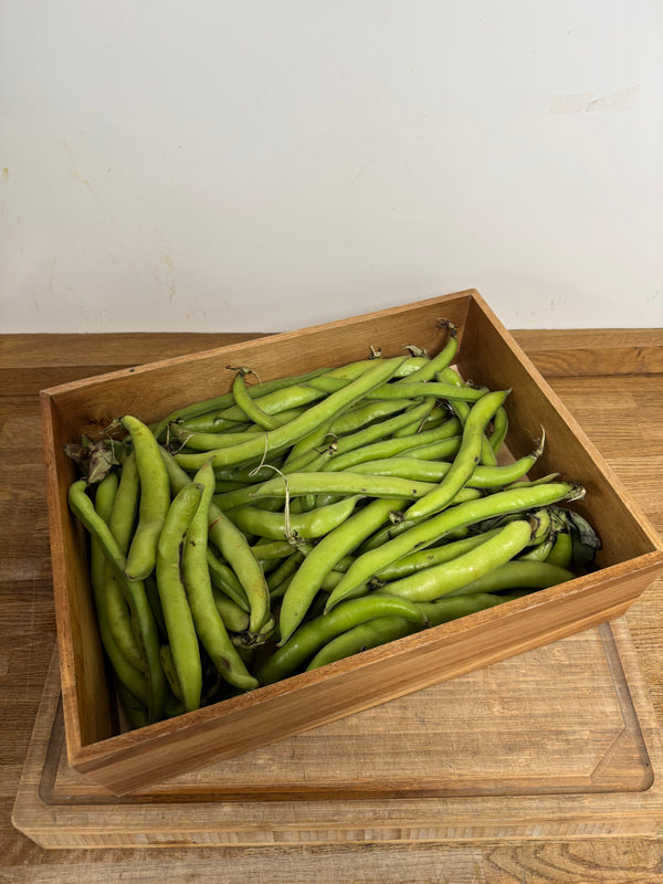 Broad Beans