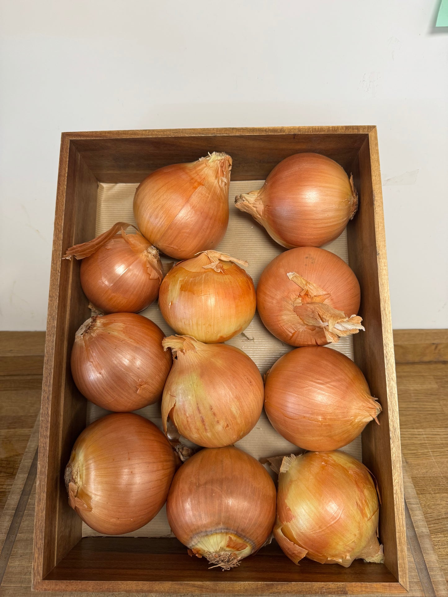 Large Onions
