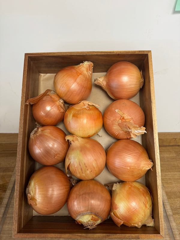 Large Onions