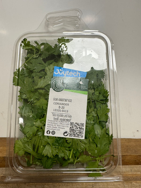 Coriander