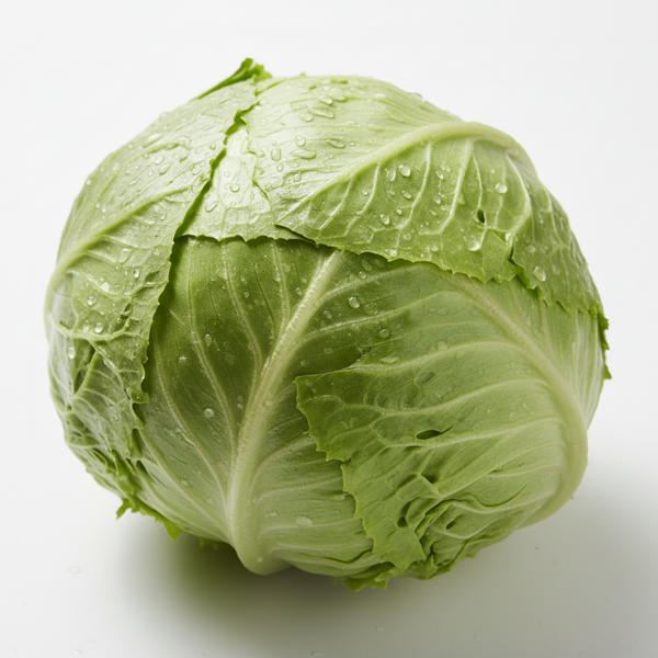 Iceberg lettuce